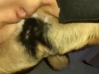 Boyfriend Pussy