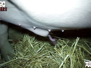 Except That It Seemed Most Correct Somehow Had He Suggested It