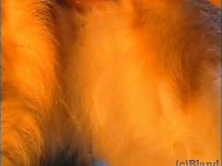 Onlyfans Instagram Tv