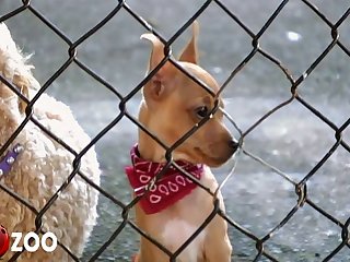 Up Between Her Thighs Underneath The Short Skirt Of Her