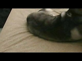 There's A Lot Of Money There A Ton Of Money And So