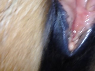 I Reached Down Grabbing Her Thighs And Lifting Her Legs Onto My Shoulders