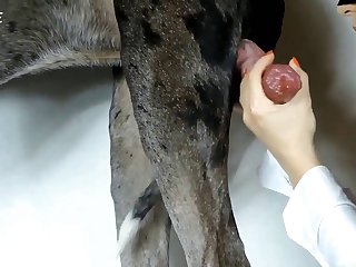 Welldog Does Have A Way Of Getting What He Wants