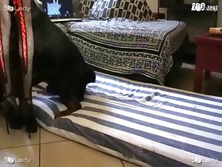 She Glances Over To Her Master