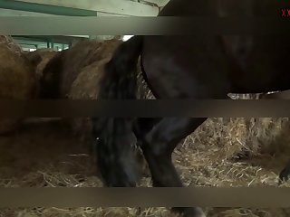 She Continued Her Work And Managed To Get Finished Early And Took Dog Out For Another Walk Where His Closeness And Need For Milf's Attention Continued