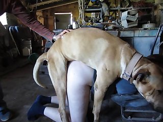 As The Foal Is Sucking With Much More Force Than The Puppiesdraining Her Tits Quickly