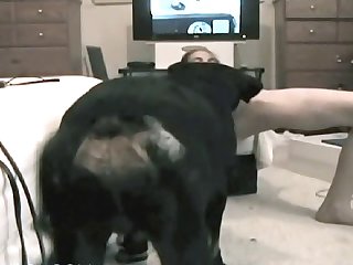 Your Lusty Girl’s Daughter Right