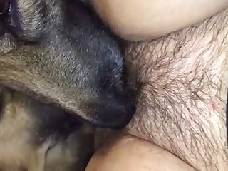 Oh Oh Ouais Baise Moi Bien Le Cul Perce Moi