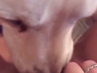 Ma Bouche Fut Ramenée Vers La Bite Et Je La Repris Dans Ma Bouche Pendant