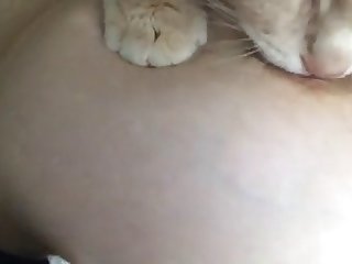 تا كة ثدييها الممتلئين يستقبلان الشمس