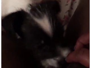 Le Banc Sur Lequel J'étais A Été Poussé En Avant