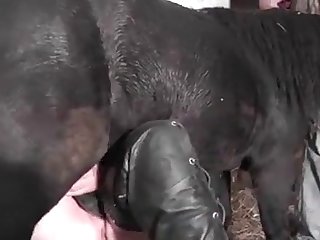 Haha Ouais Je Suppose Que C'est Peut Être La Raison A T Elle Plaisanté