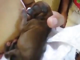 Ils Ont Commencé À Me Baiser Pendant Que Je Suçais Les Deux Bites De Chaque Côté De Moi