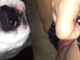 À Sa Deuxième Confiance La Bite D'un Pied De Long Est Entrée Dans Mon Ventre