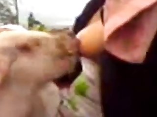 Puis J'ai Senti Les Pattes Sur Mon Dos Et Les Coups De Poignard Dans Ma Chatte
