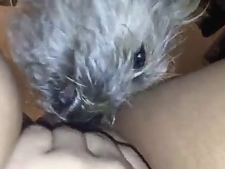 Tu Vas Nous Prendre Tous Les Huit Dans Ton Cul Dit Il