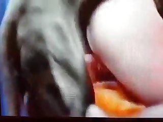 Avec Le Sperme De Chien S'écoulant De Nos Chattes Et De Nos Trous Du Cul Nous Avons Été Ramenés À La Cabane