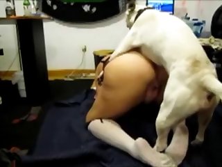 Dit Elle Moqueuse