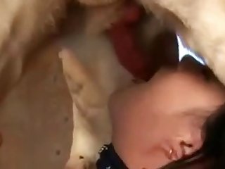 La Pute Amoureuse Des Animaux S'était Suffisamment Remise Pour Commencer À Protester