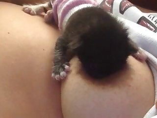 Pleine De Veines Violettes. La Pute Amoureuse Des Animaux A Été Poussée Sur Le Ventre Du Chien