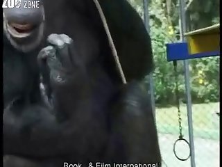 然后我以为我比任何人都努力