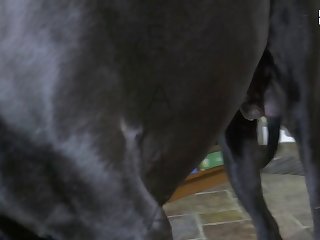 熟女现在在天堂