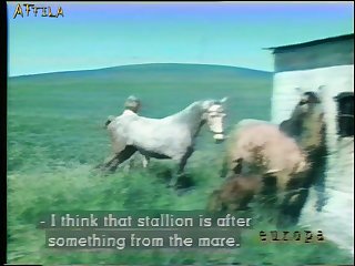 她意识到在它放弃之前她需要射精。