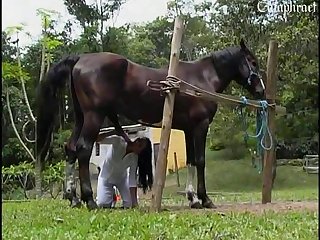 将她牢牢地限制在里面
