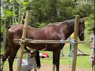 将她牢牢地限制在里面