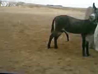 L'homme Sexy Attend Et Me Laisse Regarder