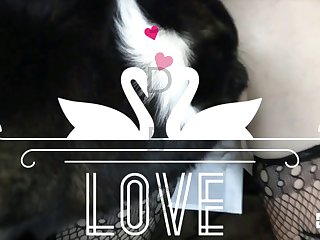 ما زال الحصان غي مد ك لها حقًا