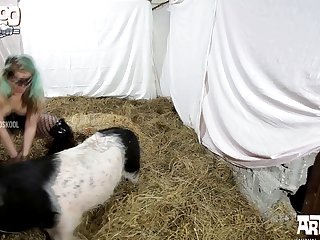 Oh Eh Bien Se Dit Elle Et S'installa À Côté Du Chien