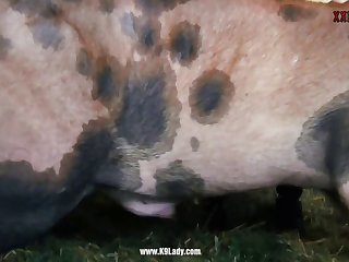 Quand Elle Rentra À La Maison Maman Monta À L'étage Et Entra Dans La Douche