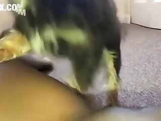 Maman Contrôla Le Rythme De Leur Accouplement Cette Fois