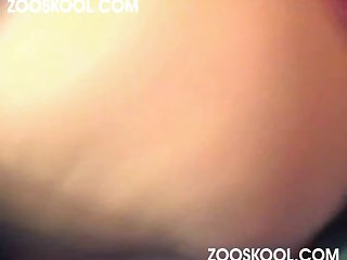 Zoofilia Handjob