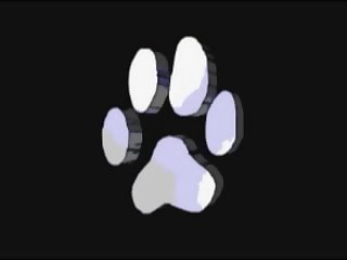 Penes De Perros Zoofilia