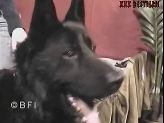 Gozando Na Cadela Zoofilia