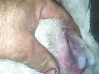 Filme Porno Com Animal Macaco