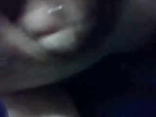 Porno Animal Animacao