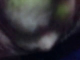 Porno Animal Animacao