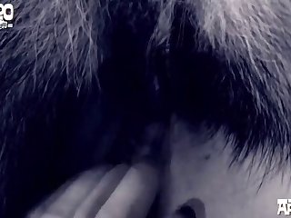 Sexo.com Animal Porno