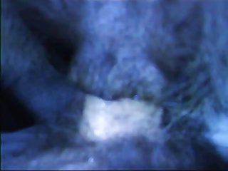 Video Sex Porno Animal