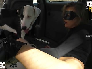 Homem Sexo Porno Animal