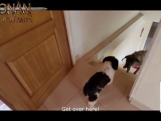 Telegram Animal Sex Group