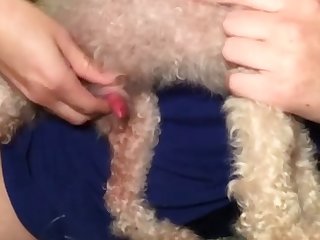 Longest Gay Zoo Porn