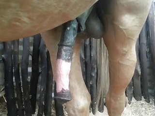Front Nice Beastforum Geles Masturbation