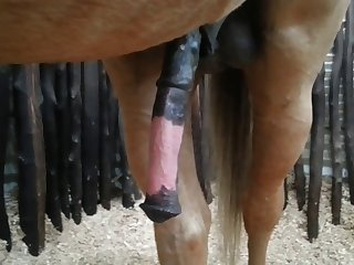 Side View Beastforum Geles Masturbation