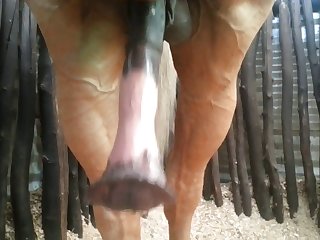 Front Nice Beastforum Geles Masturbation