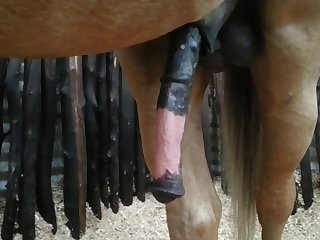Side View Beastforum Geles Masturbation