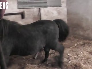Carino Ohne Sperma
